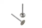 883CC Stainless Steel Intake Valves For Harley-davidson. Fixed Price $101.99.