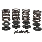 Kibblewhite Precision Machining Valve Spring Kit 20-21150. Fixed Price $126.36.