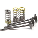 Pro X Steel Intake Valve And Spring Kit 28.SIS2402-2. Fixed Price $191.99.